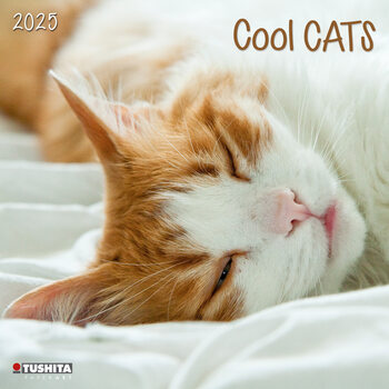 Calendar 2027 Cool Cats