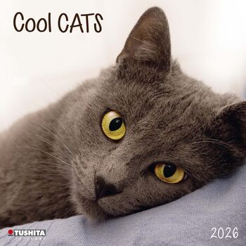 Calendar 2026 Cool Cats