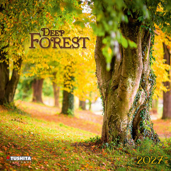 Calendar 2027 Deep Forest | 16-month