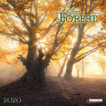 Calendar 2027 Deep Forest