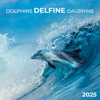 Calendar 2027 Dolphins