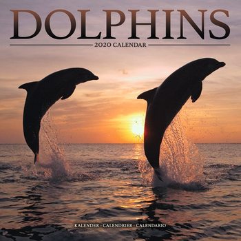 Calendar 2027 Dolphins