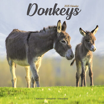 Calendar 2027 Donkeys