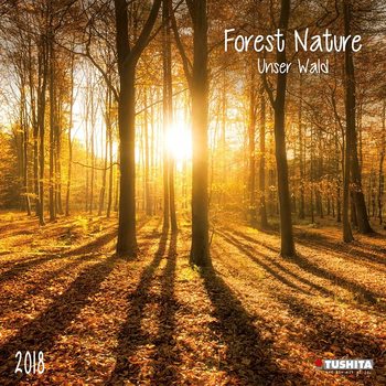 Calendar 2027 Forest Nature