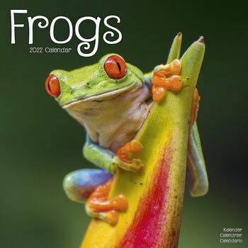 Calendar 2027 Frogs