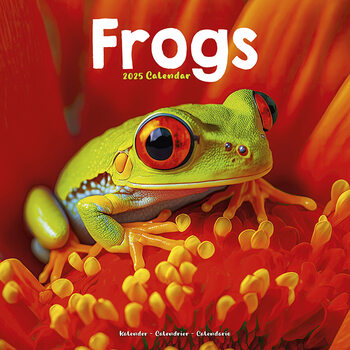 Calendar 2027 Frogs