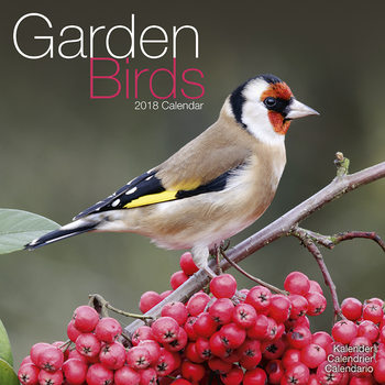 Calendar 2027 Garden Birds