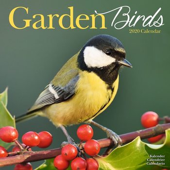 Calendar 2027 Garden Birds