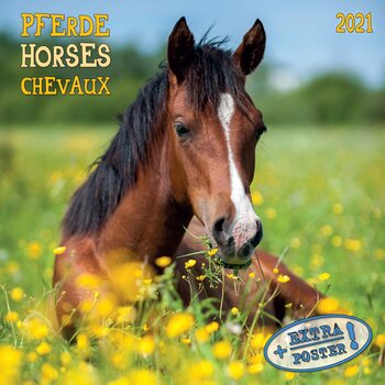 Calendar 2027 Horses