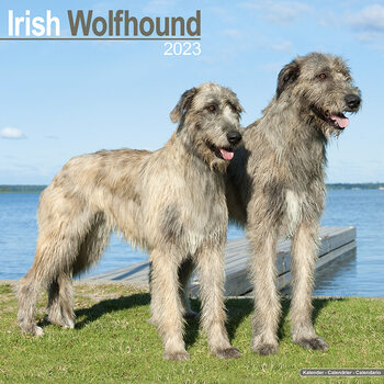 Calendar 2027 Irish Wolfhound