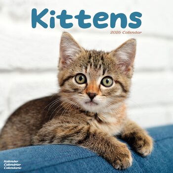 Calendar 2026 Kittens