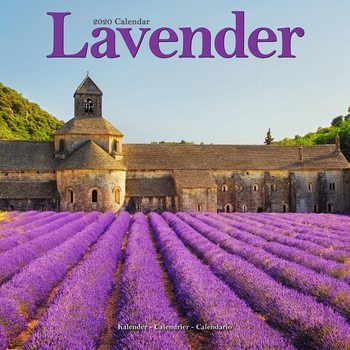 Calendar 2027 Lavender