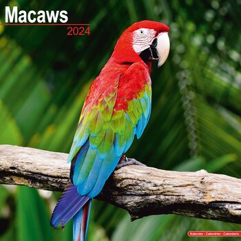 Calendar 2024 Macaws