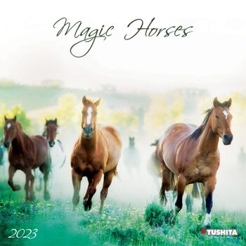 Calendar 2027 Magic Horses