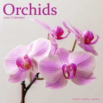 Calendar 2027 Orchids