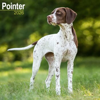 Calendar 2027 Pointer