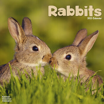 Calendar 2027 Rabbits
