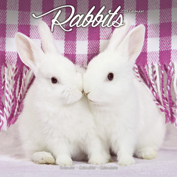 Calendar 2027 Rabbits