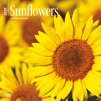 Calendar 2027 Sunflowers