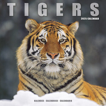 Calendar 2027 Tigers