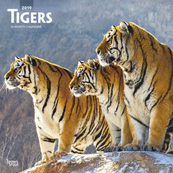 Calendar 2027 Tigers