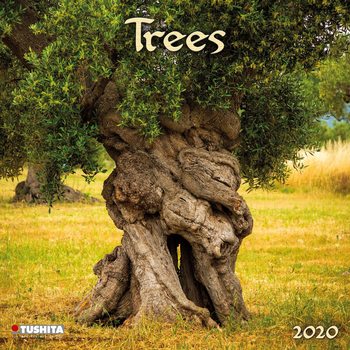 Calendar 2027 Trees