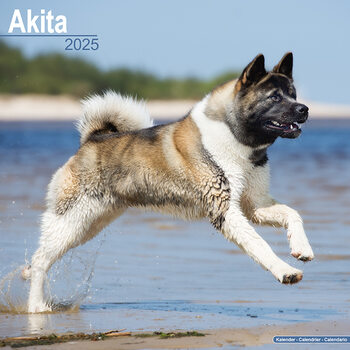 Calendrier 2027 Akita