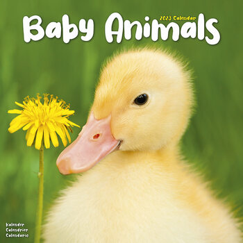 Calendrier 2023 Baby Animals