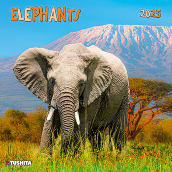 Calendrier 2027 Elephant