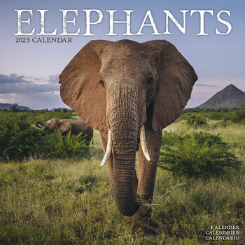 Calendrier 2023 Elephants