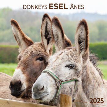 Calendrier 2027 Esel