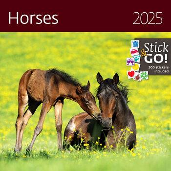 Calendrier 2027 Horses