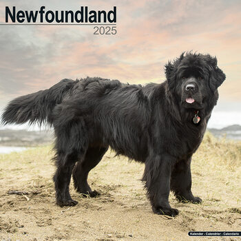 Calendrier 2027 Newfoundland