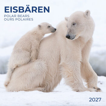 Calendrier 2027 Ours polaires