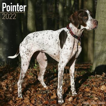 Calendrier 2027 Pointer