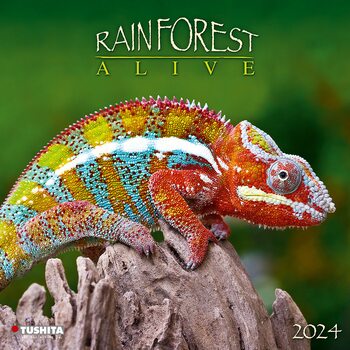 Calendrier 2027 Rainforest Alive