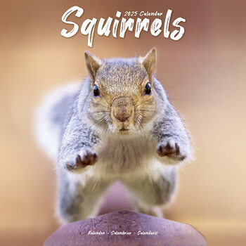 Calendrier 2027 Squirrels