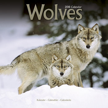 Calendrier 2027 Wolves