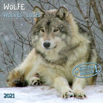 Calendrier 2027 Wolves