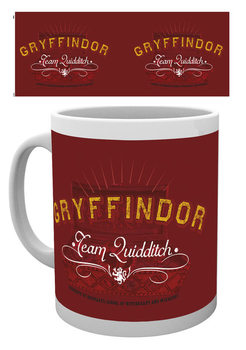 Cana Harry Potter - Quidditch Crest