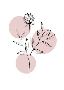 Print op canvas Delicate Botanicals – Rose