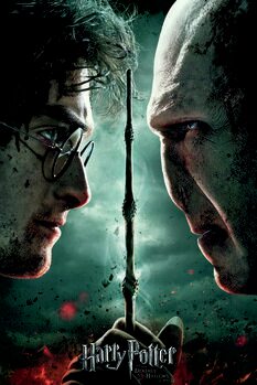 Print op canvas Harry Potter - De Relieken van de Dood