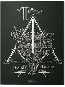 Obraz na plátne Harry Potter - Deathly Hallows