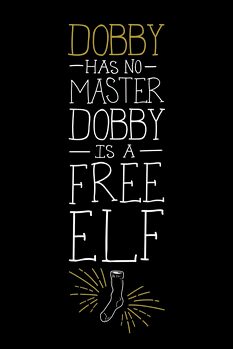 Print op canvas Harry Potter - Free Dobby