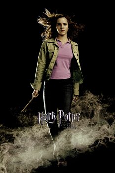 Print op canvas Harry Potter - Hermione Granger