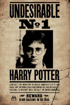 Print op canvas Harry Potter - Undesirable No 1