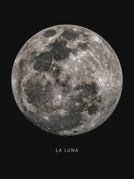 Print op canvas La luna