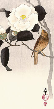 Print op canvas Ohara Koson - Songbird and Flowering Camellia