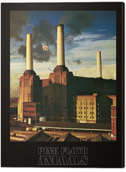 Print op canvas Pink Floyd - Animal