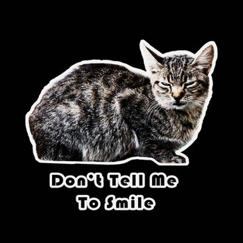 Canvas Print Angry Grumpy cat unhappy looking out